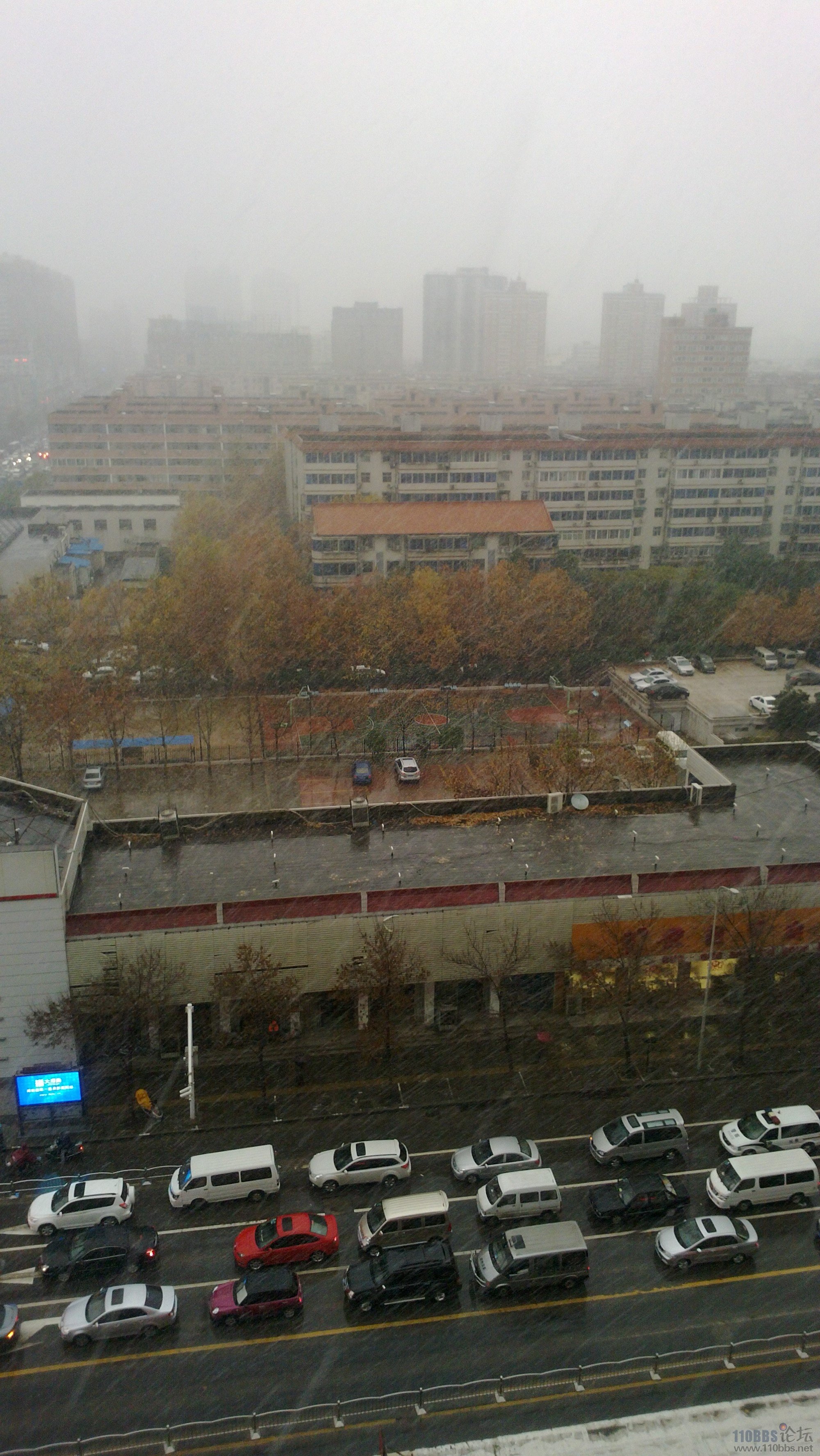 20111129_009.jpg